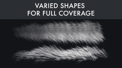 Fur 3 Brush Set - Image 5