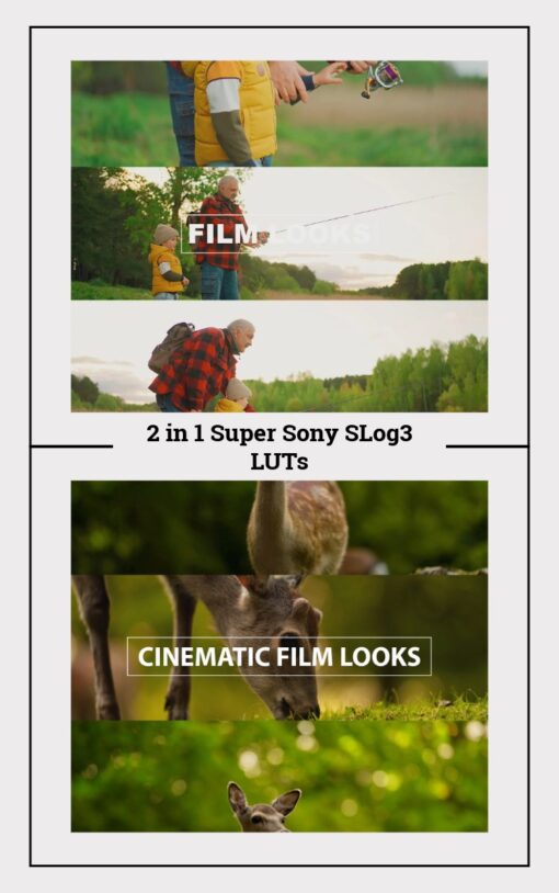 Sony S-Log3 LUTs: 2-in-1 Super Pack. Professional Color Grading