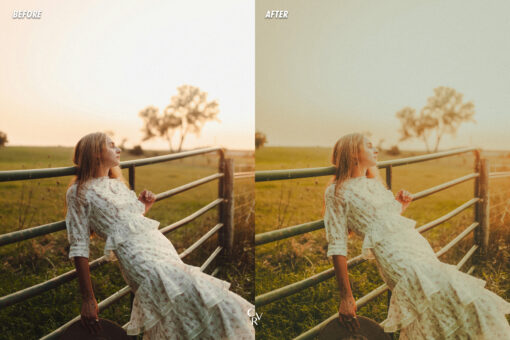 15 Vintage Cinema Lightroom Presets - Image 4