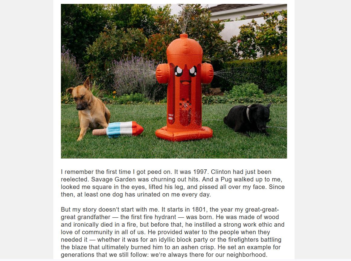 Here’s one of the creative emails from BARK. It is an amusing story from Harry (the Revenge-Seeking Hydrant) with the subject line, “Your dog has peed on me over 400 times…”