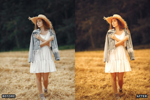 AI-Optimized Cinematic Golden Hour Lightroom Presets - Image 4