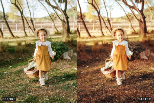 AI-Optimized Cinematic Golden Hour Lightroom Presets - Image 7
