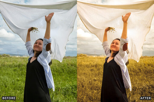 AI-Optimized Cinematic Golden Hour Lightroom Presets - Image 12