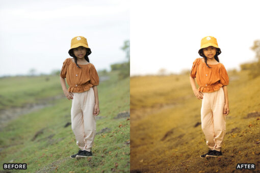 AI-Optimized Cinematic Golden Hour Lightroom Presets - Image 14