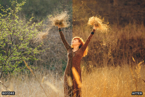 AI-Optimized Cinematic Golden Hour Lightroom Presets - Image 16