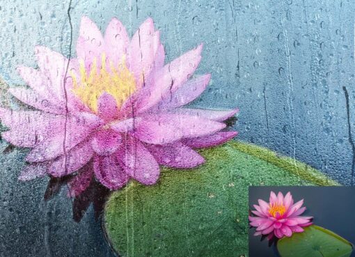 Wet Glass Overlay Photoshop Action - Image 2