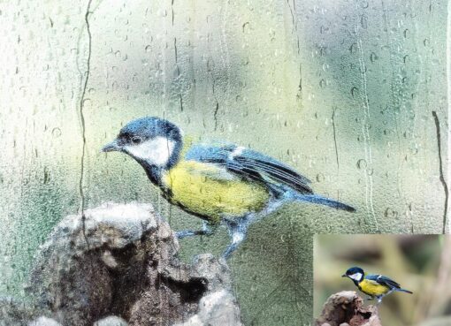 Wet Glass Overlay Photoshop Action - Image 7