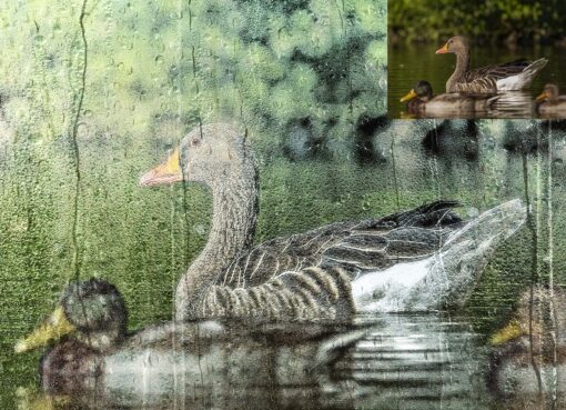 Wet Glass Overlay Photoshop Action - Image 10