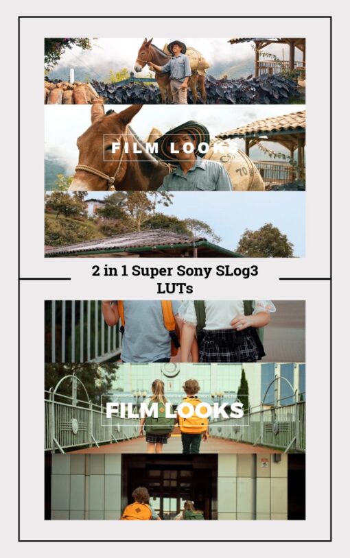Sony S-Log3 LUTs 2-in-1 Super Pack | LUTs for Color Grade