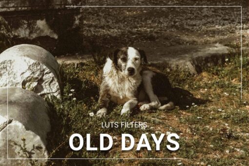 Vintage video LUTs showcase warm tones for lifestyle films, enhancing outdoor footage with a nostalgic and cinematic feel.