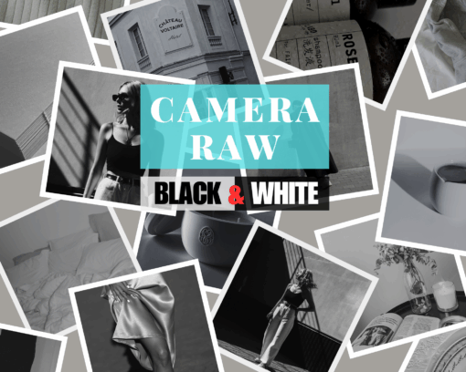 Camera Raw Black & White 383 Lightroom Presets + 50 Free Mix