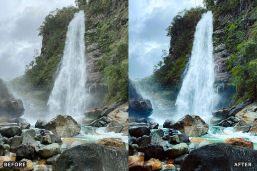 AI-Optimized Nature Forest Lightroom Presets - Image 3