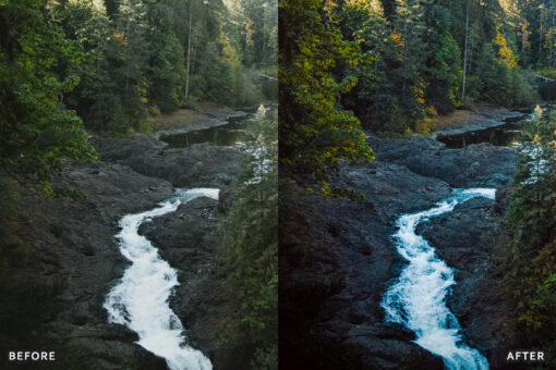 AI-Optimized Nature Forest Lightroom Presets - Image 6
