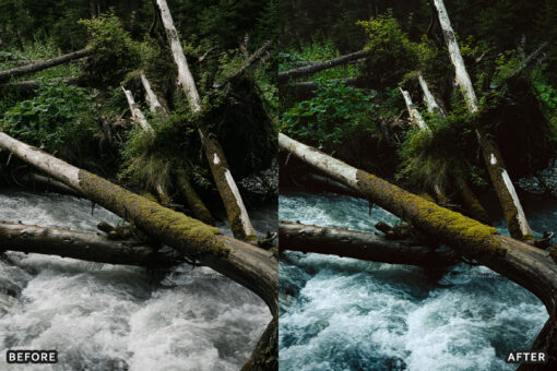 AI-Optimized Nature Forest Lightroom Presets - Image 7