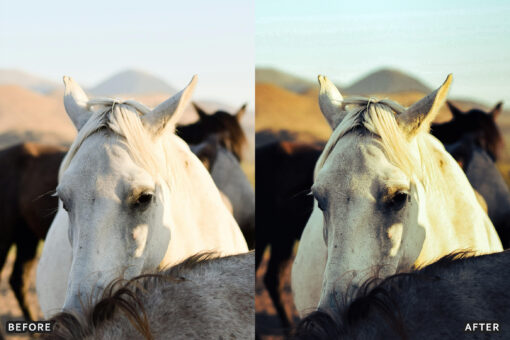 AI-Optimized Horse Ranch Lightroom Presets - Image 4