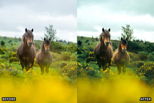 AI-Optimized Horse Ranch Lightroom Presets - Image 5