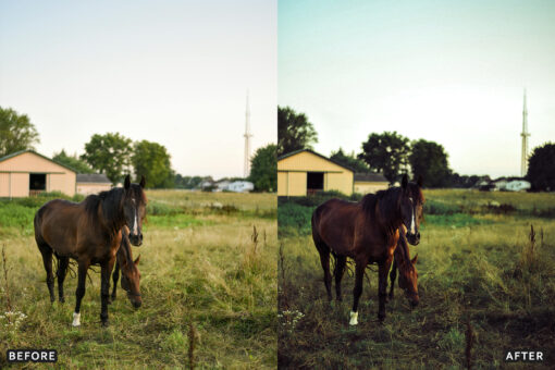 AI-Optimized Horse Ranch Lightroom Presets - Image 6