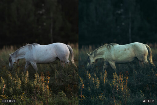 AI-Optimized Horse Ranch Lightroom Presets - Image 7