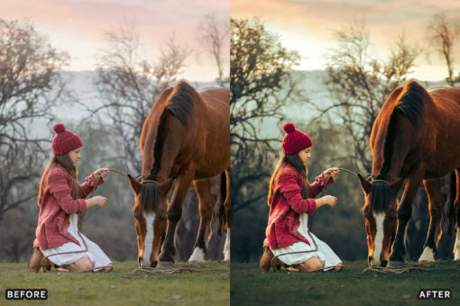 AI-Optimized Horse Ranch Lightroom Presets - Image 8