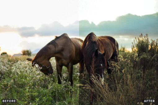 AI-Optimized Horse Ranch Lightroom Presets - Image 9