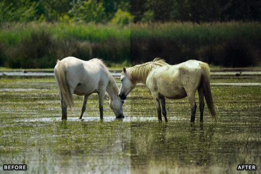 AI-Optimized Horse Ranch Lightroom Presets - Image 10