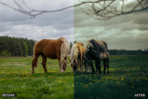 AI-Optimized Horse Ranch Lightroom Presets - Image 11
