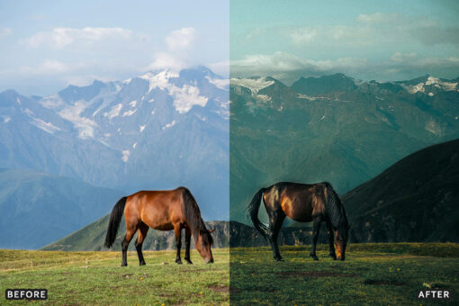 AI-Optimized Horse Ranch Lightroom Presets - Image 12