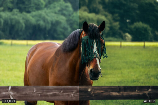 AI-Optimized Horse Ranch Lightroom Presets - Image 13