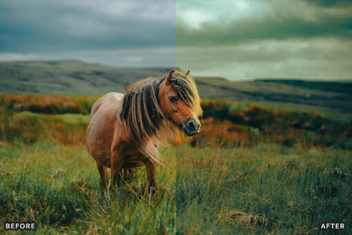 AI-Optimized Horse Ranch Lightroom Presets - Image 15