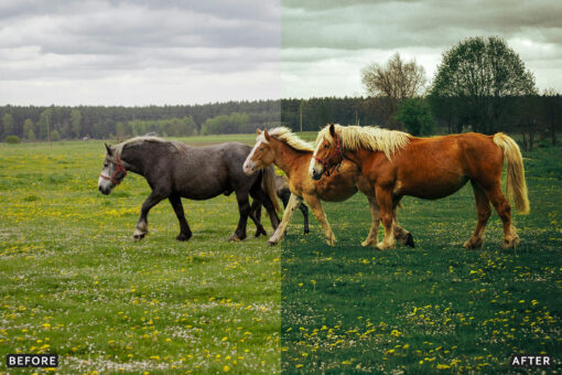 AI-Optimized Horse Ranch Lightroom Presets - Image 16