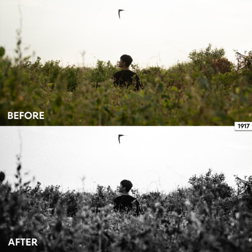 DE FilmLook Lightroom Presets - Image 9