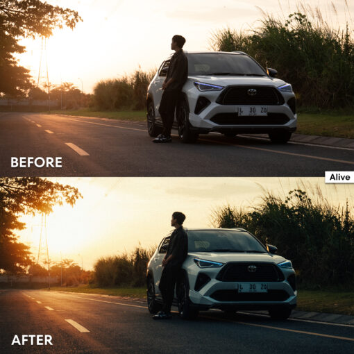 DE FilmLook Lightroom Presets - Image 2
