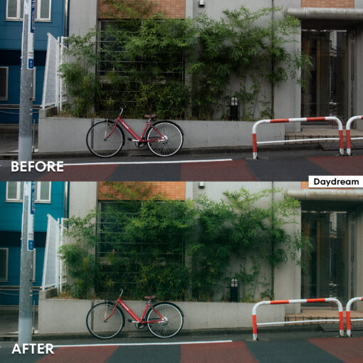 DE FilmLook Lightroom Presets - Image 3