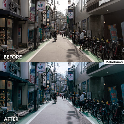 DE FilmLook Lightroom Presets - Image 5