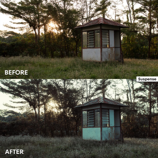 DE FilmLook Lightroom Presets - Image 7