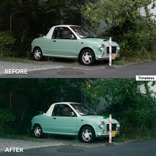 DE FilmLook Lightroom Presets - Image 8