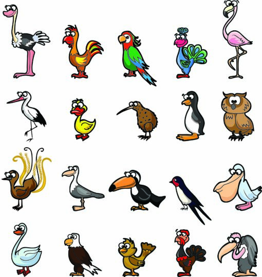 20 Cartoon Illustrations Birds, Birds Species Character, Duck EPS