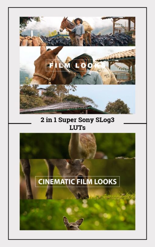2-in-1 Sony SLog3 LUTs Super Pack - 9 Cinematic Presets